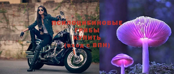 стафф Тольятти